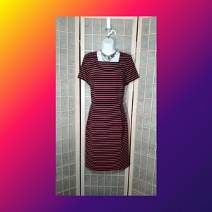 TALBOTS DRESS COTTON SZ 14